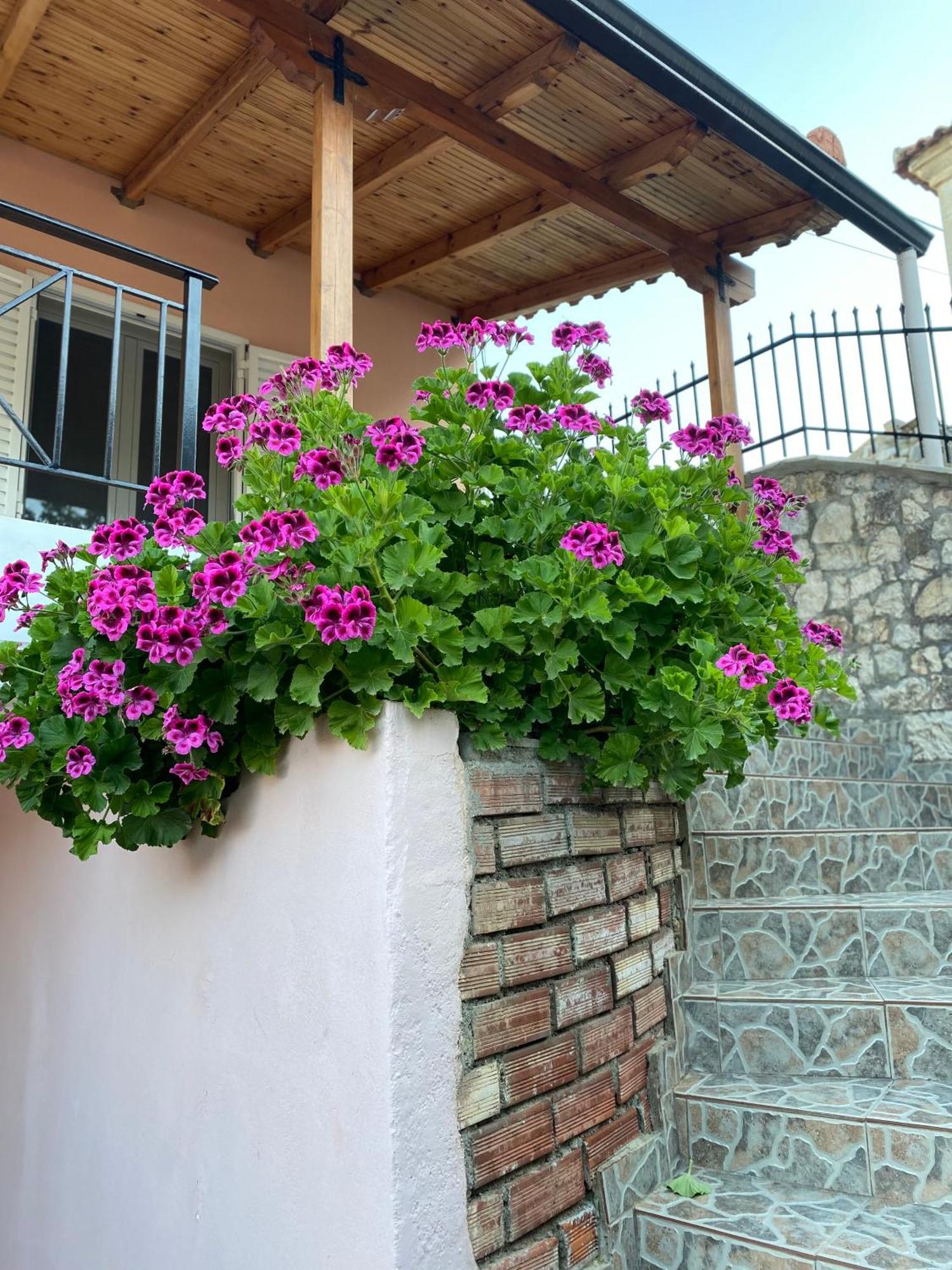 希马拉Gkoros House Old Town别墅 外观 照片